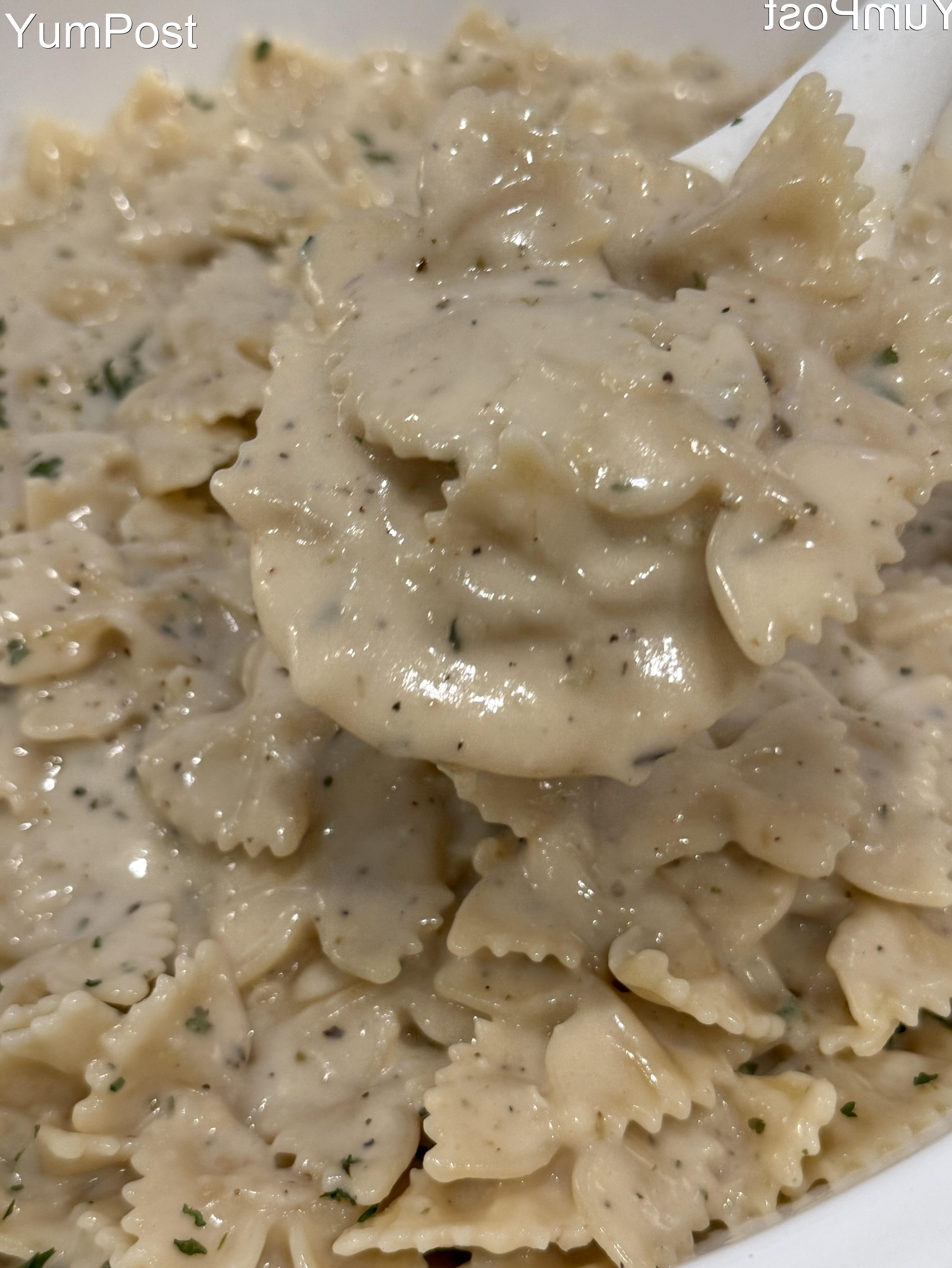 Easy Keto Recipe: CREAMY GARLIC PARMESAN PASTA